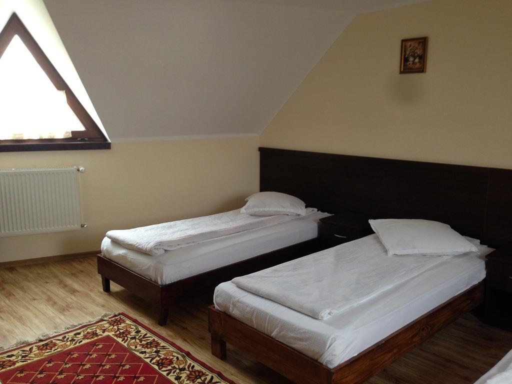 Pensiunea Diana Hotel Fagaras Exterior photo